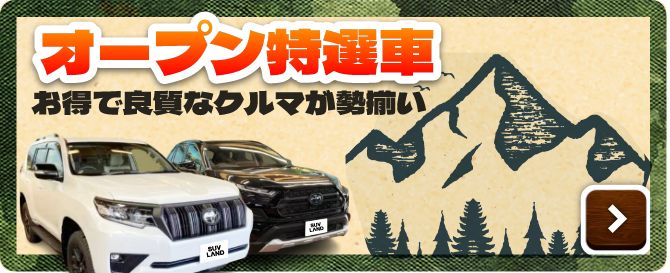 オープン特選車