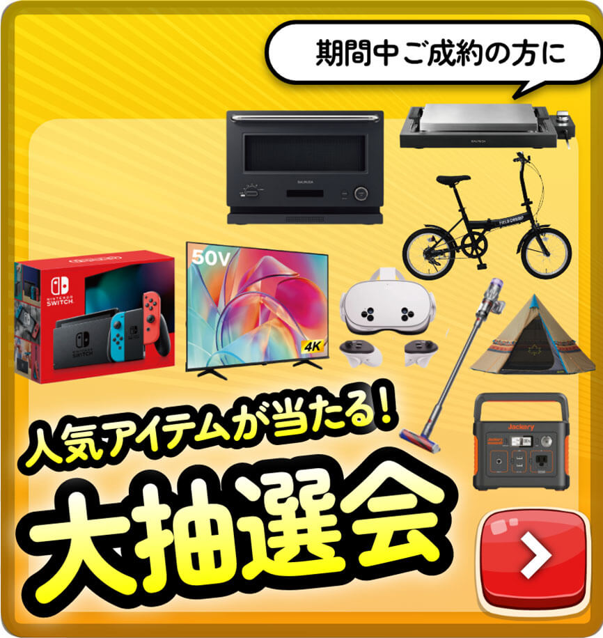 オプション購入補助