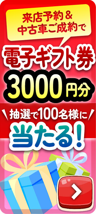 3,000円分 抽選で100名様に当たる!