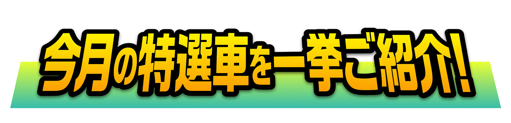 今月の特選車を一挙ご紹介!