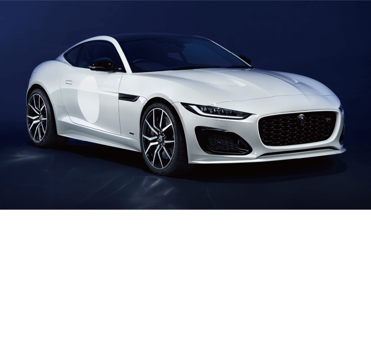 juno ジュノ ジャガー タイプ jaguar jg juno ジュノ ジャガー タイプ jaguar jg ギター